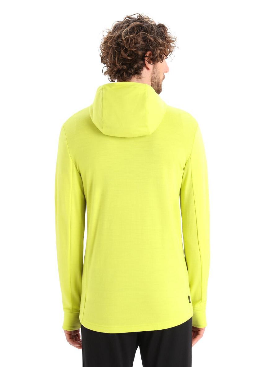 Shine / Clove Icebreaker Merino Quantum III Long Sleeve Zip Men's Hoodie | AU 1267VRWD